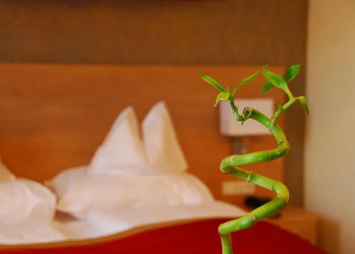 Schreiner's - Waldviertel Haus Laimbach am Ostrong